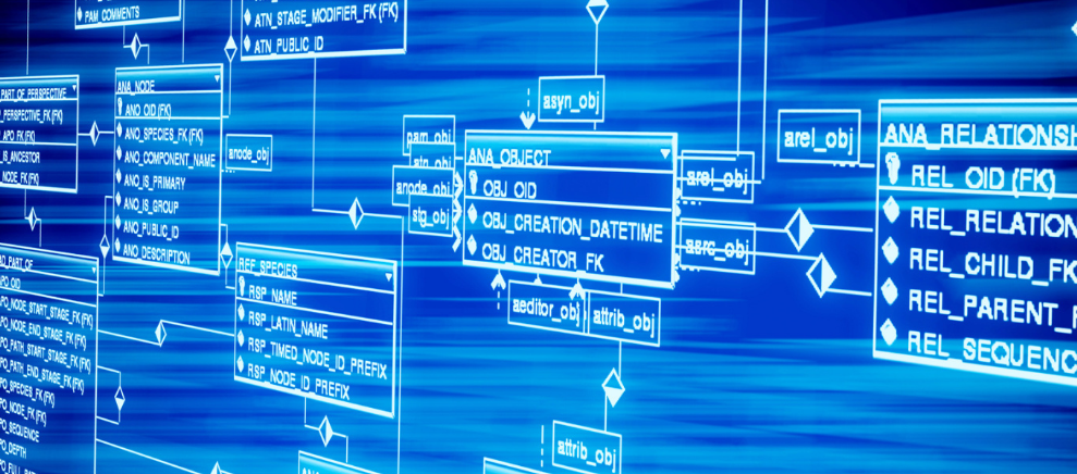 为什么现在丢失的东西容易找回来？分享我的经历和体会
